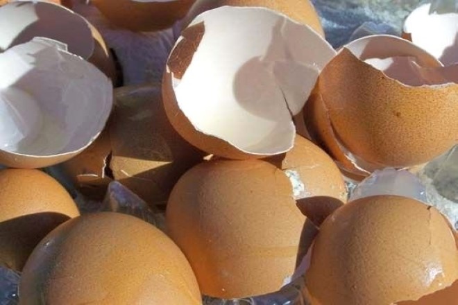 Kemik Erimesi İçin Yumurta Kabuğu Kürü Nasıl Yapılır? 1