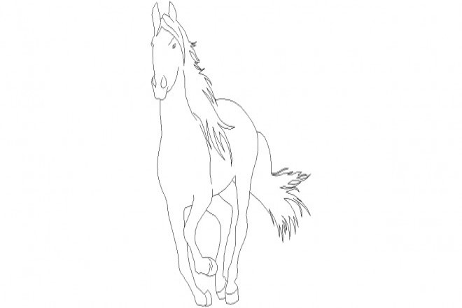 At Resmi Nasıl Çizilir? 1