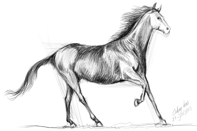At Resmi Nasıl Çizilir?
