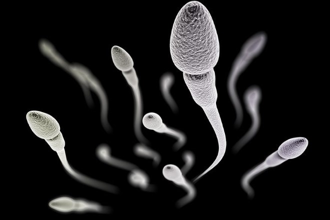 Sperm Kalitesi Nasıl Artar? 1