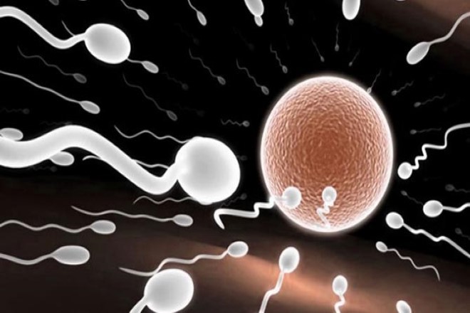 Sperm Kalitesi Nasıl Artar? 4