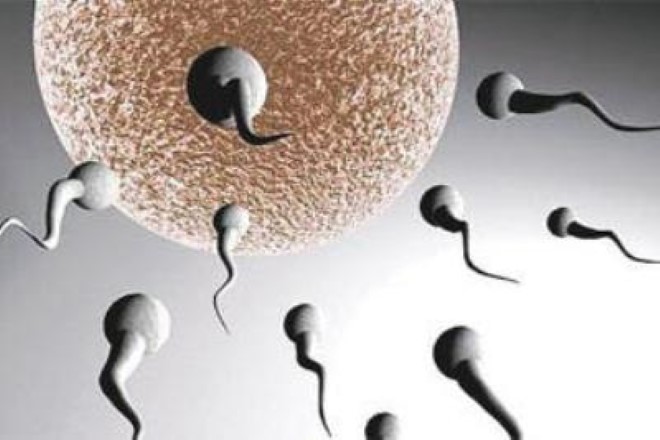 Sperm Kalitesi Nasıl Artar?