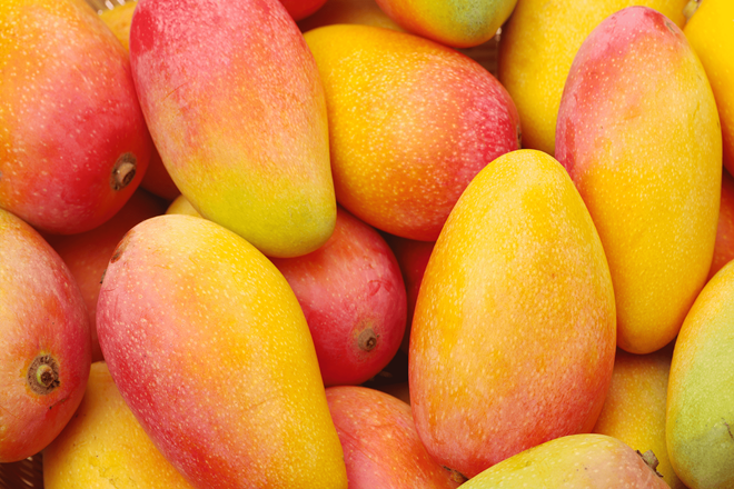 Mango Nasıl Yenilir Mangonun Faydaları Nelerdir 1